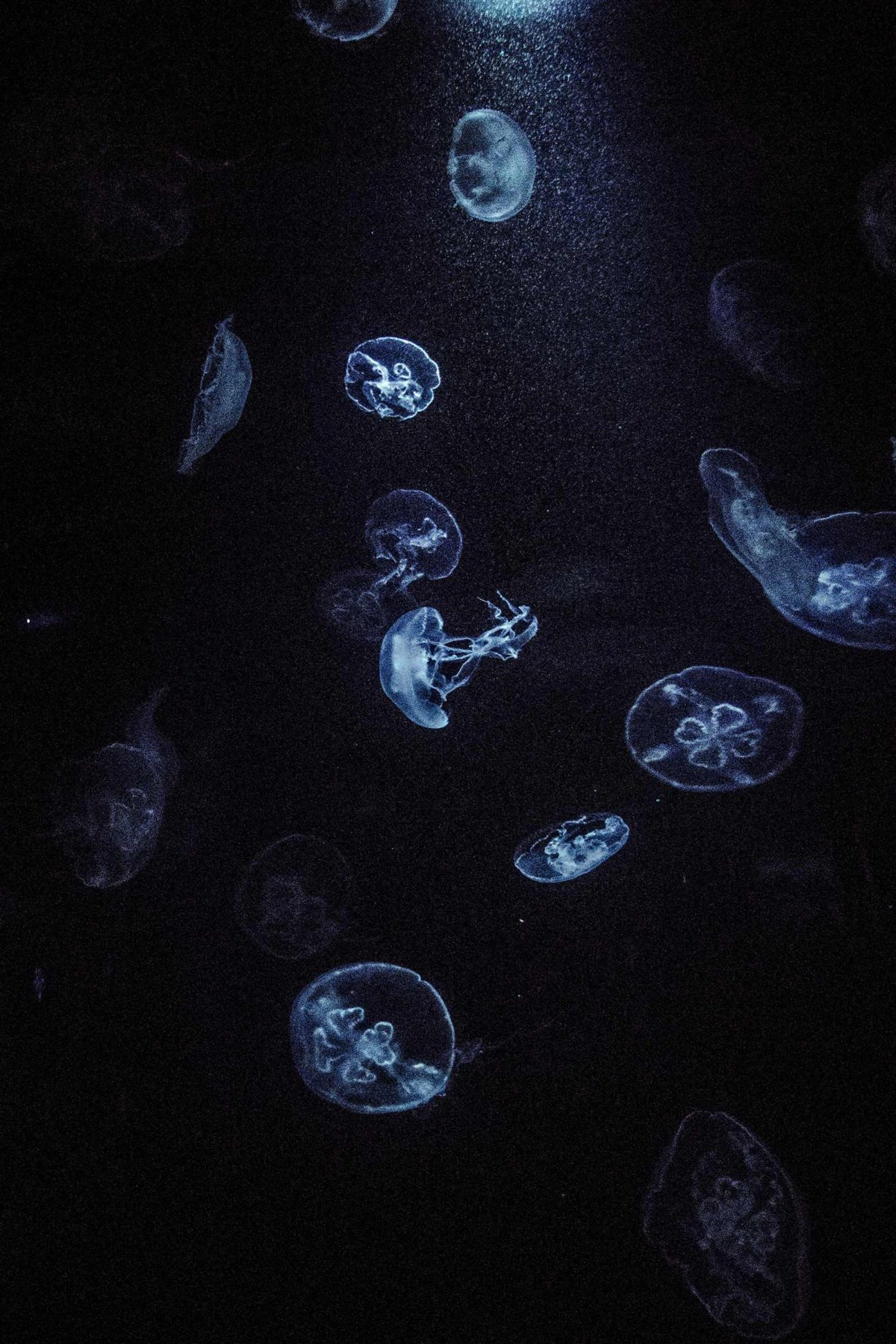 connor-carruthers-2XlRNChm2rg-unsplash