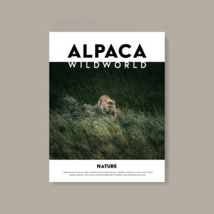 Issue 02