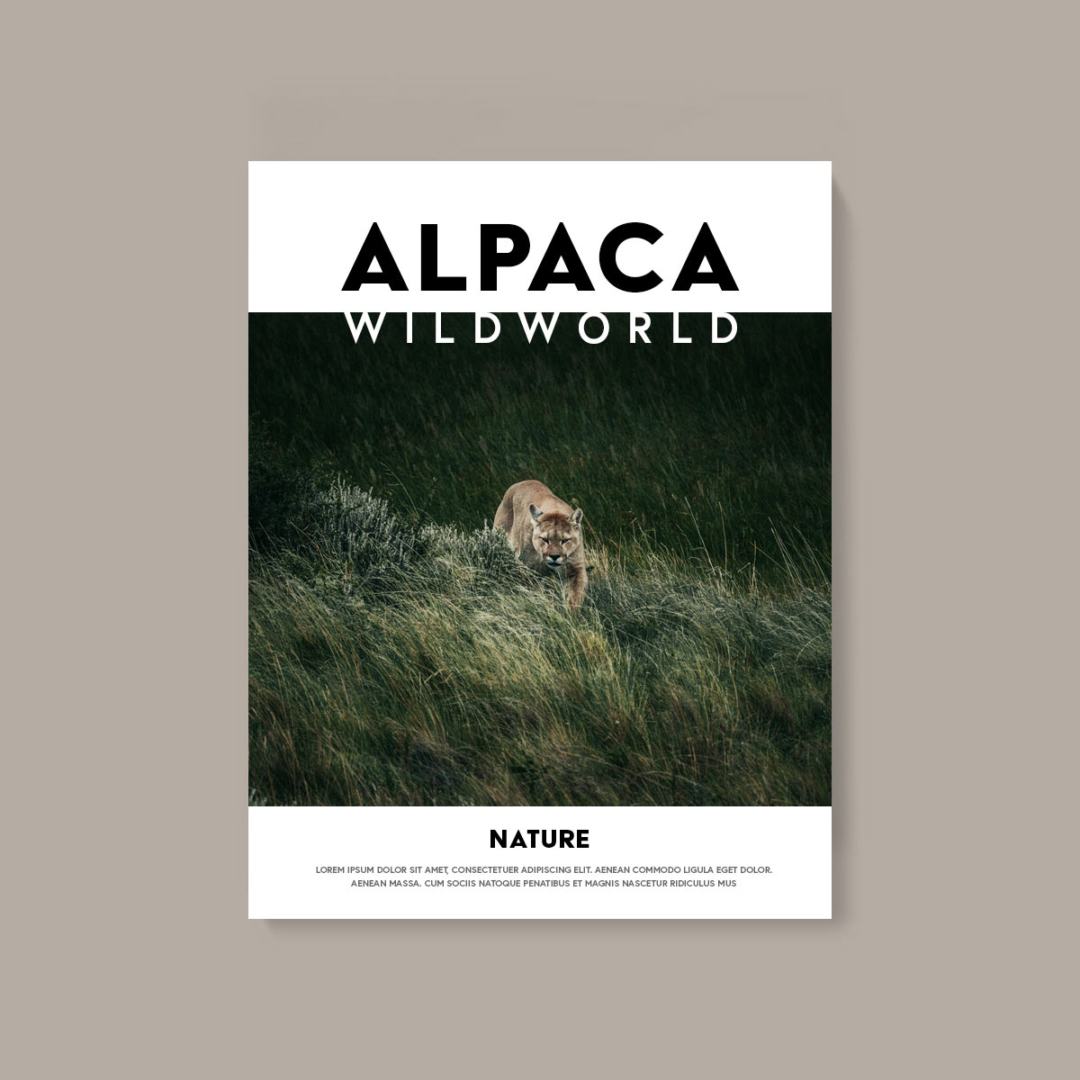 Issue 02