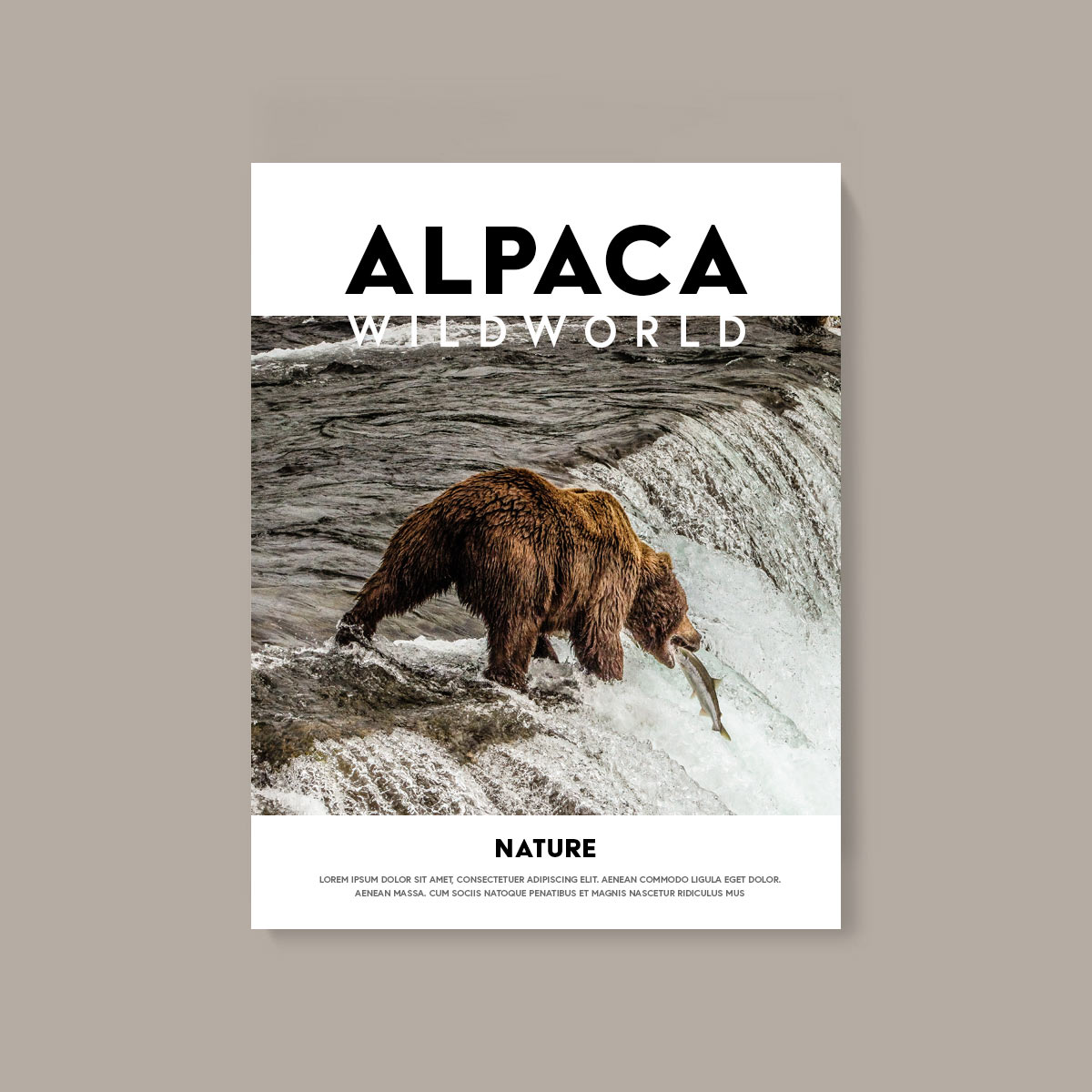 Issue 01