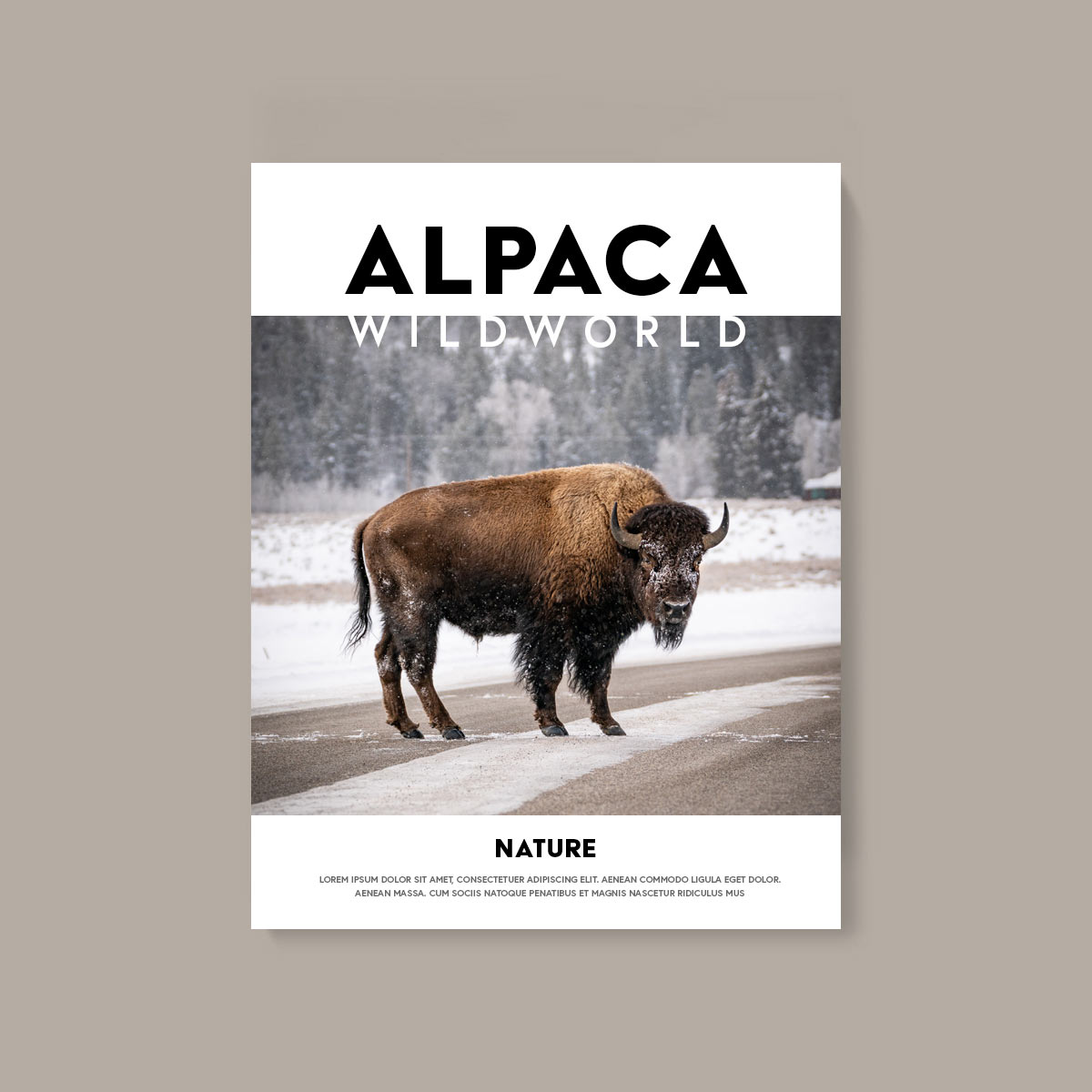Issue 05