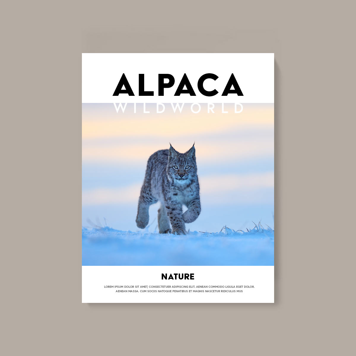 Issue 08