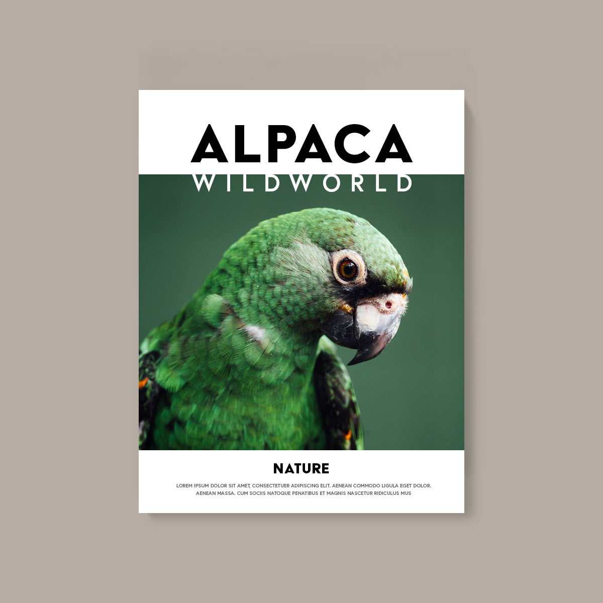 Issue 07